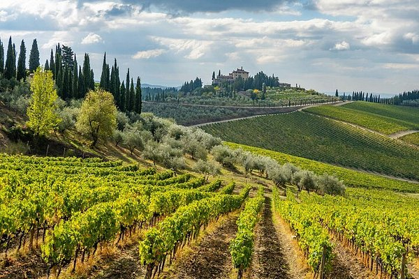 featured image thumbnail for The beauty of Tuscany